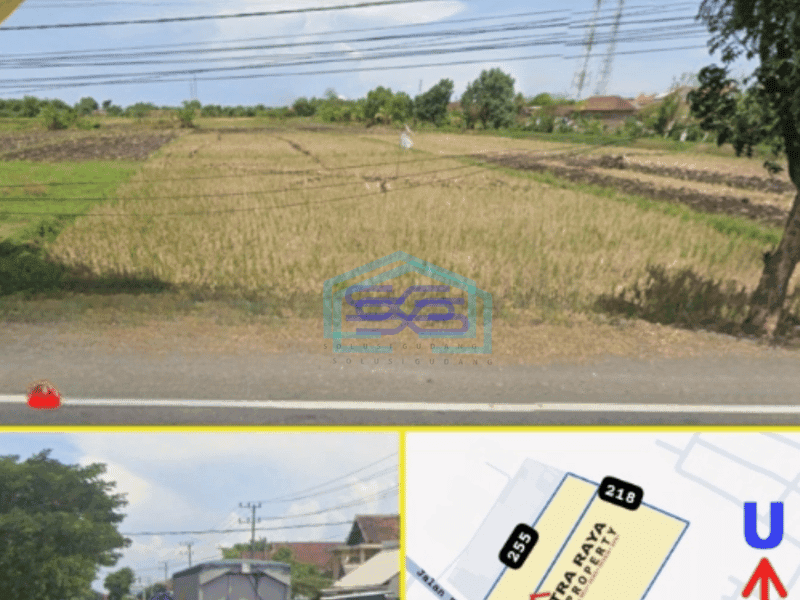Dijual Tanah Nol Jalan Propinsi Di Raya Beji Pasuruan Luas Tanah 64047 m²