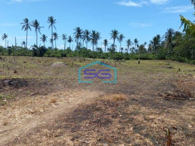 Dijual Tanah di Seokarno Hatta Kalianda Lampung Selatan LT 40000m2