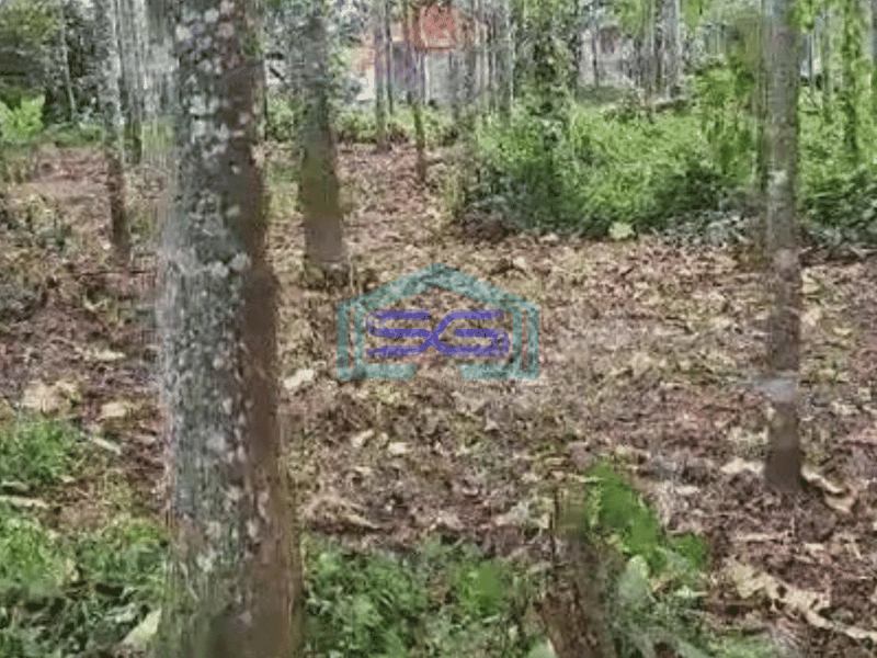 Dijual Tanah Cocok Untuk Gudang di Serdang Wetan