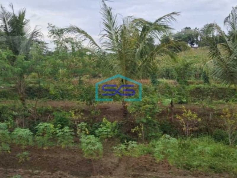 Dijual Tanah Strategis Cocok Untuk Usaha Pasteur Bandung Luas Tanah 3680m2