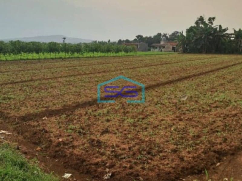 Dijual Tanah Di Bojong Kopasus Kemang Bogor Luas 4500m2