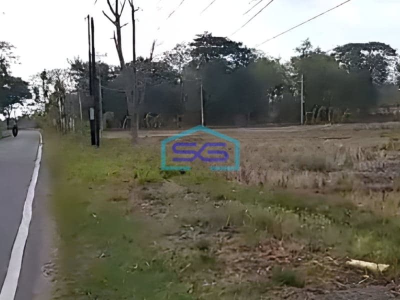 Dijual Tanah Zona Merah Industri Lokasi Klaten Jawa Tengah Luas 190000m2