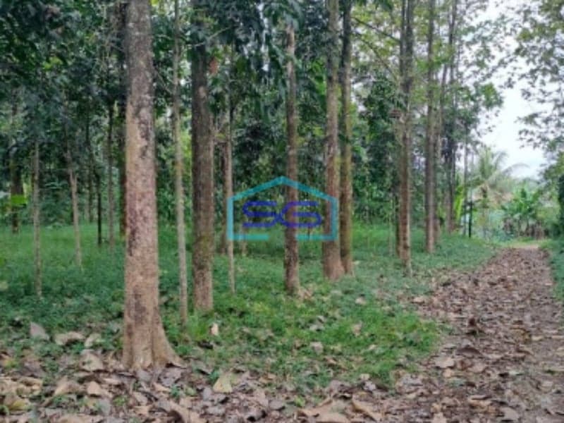 Dijual Tanah Di Kemang Bogor Luas Tanah 10000m2