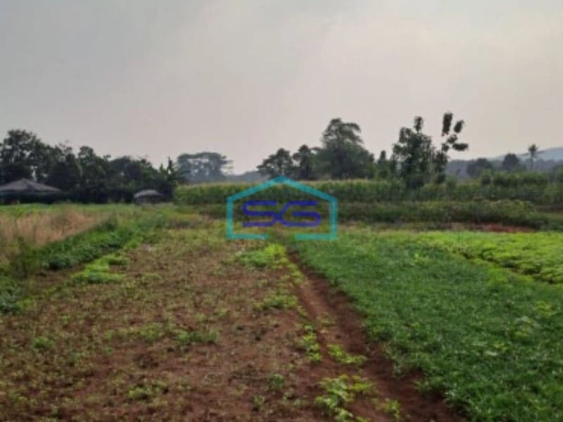 Dijual Tanah di Kemang Bojongkopasus Bogor Luas Tanah 50000m2