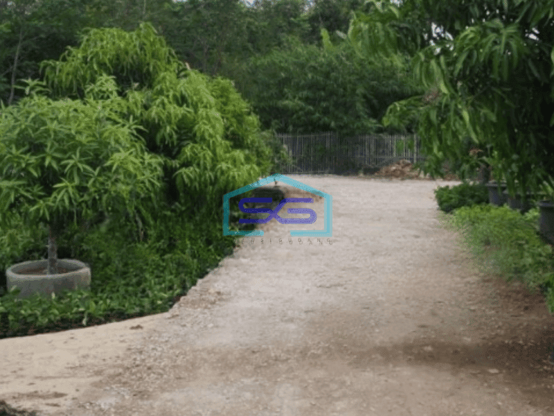 Dijual Tanah di Karawang Timur Luas Tanah 6000 m²