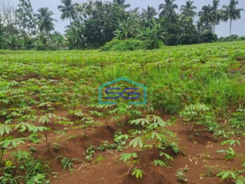 Dijual Tanah di Ci Bening Pamijahan Bogor Luas Tanah 72000m2