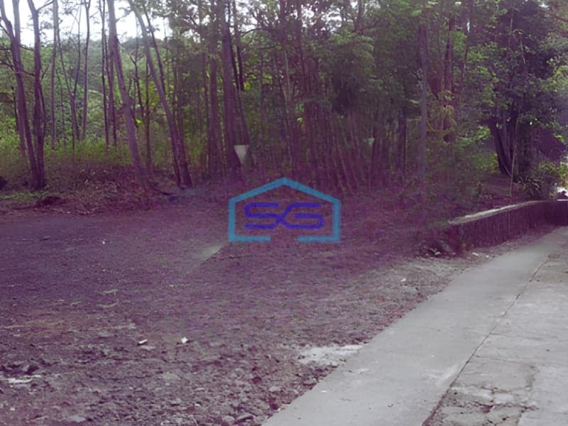 Dijual Tanah di Kel Wijimulyo Kab Kulonprogo Yogyakarta Luas Tanah 1580m2