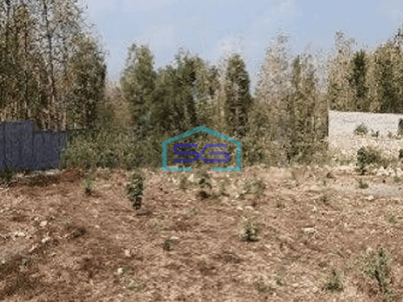 Dijual Tanah Luas 9076 m² di Sentolo Kulon Progo Yogyakarta