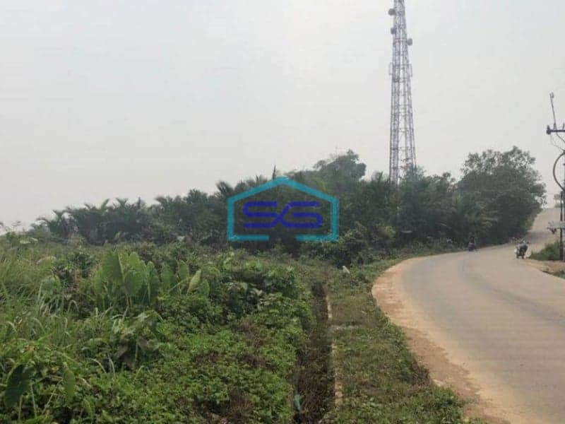 Dijual Tanah di Parung Panjang Bogor LT 9476m2