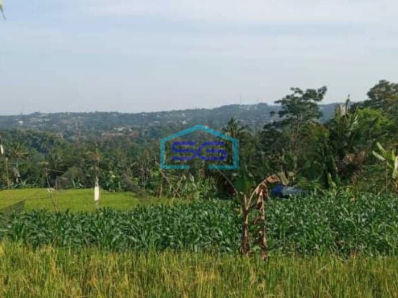 Dijual Tanah Puncak Bogor Cisarua Jawa Barat Luas Tanah 75000m2