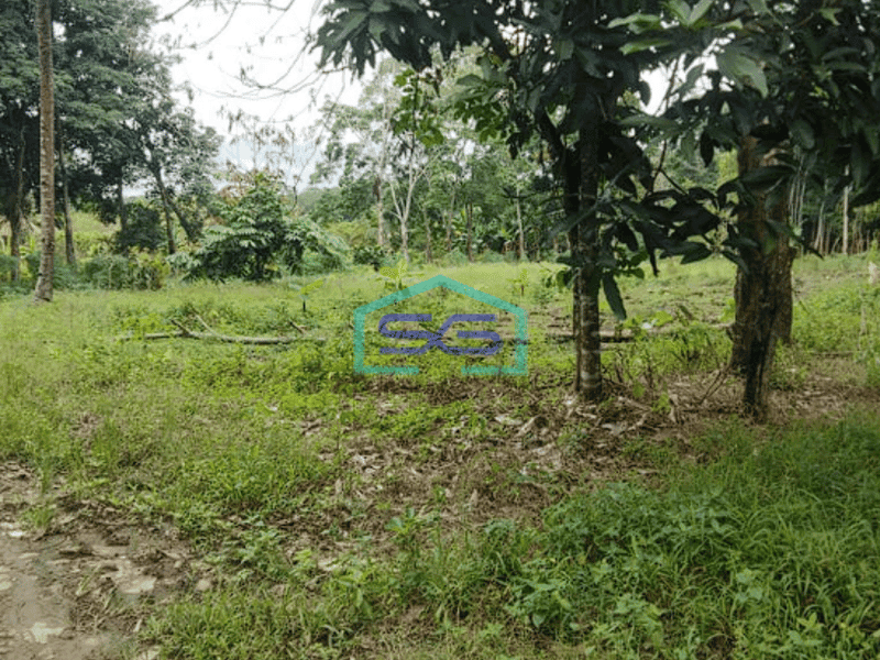 Dijual Tanah Jalan Padat Karya, Bukit Baru Palembang Luas 11382m2