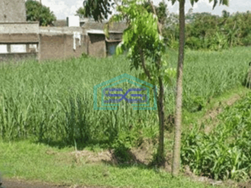 Dijual tanah nol jalan provinsi kota kediri