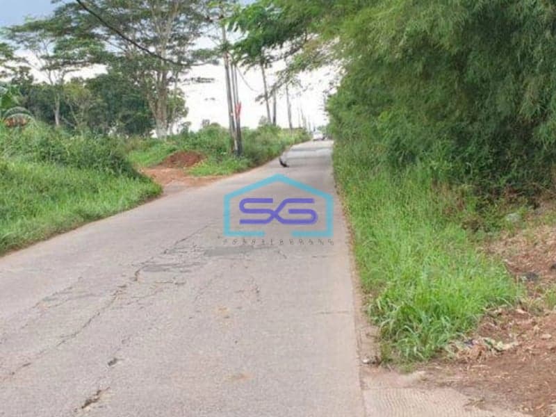 Dijual Tanah di Desa Bantar Panjang Cileles Tigaraksa Tangerang Luas 1,4 Hektar