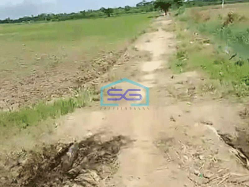 Dijual Tanah Luas 5 Hektar di Tanjung Api Api Palembang