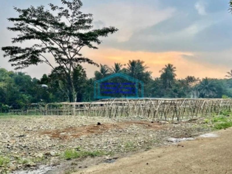 Dijual Tanah Lokasi di Ciseeng Bogor Luas Tanah 11000m2