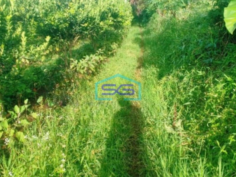 Dijual Tanah Subur Lahan Kuning Siap Bangun di Bumiaji Batu Malang LT 2500m2