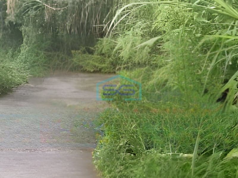 Dijual Tanah di Singaraja Gesing Buleleng Bali Luas Tanah 12800m2