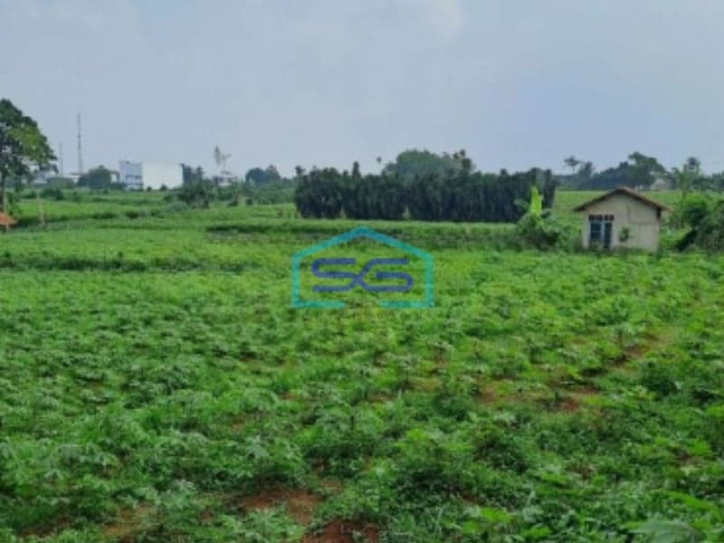 Dijual Tanah Ranca Bungur Bogor Jawa Barat Luas 50000m2