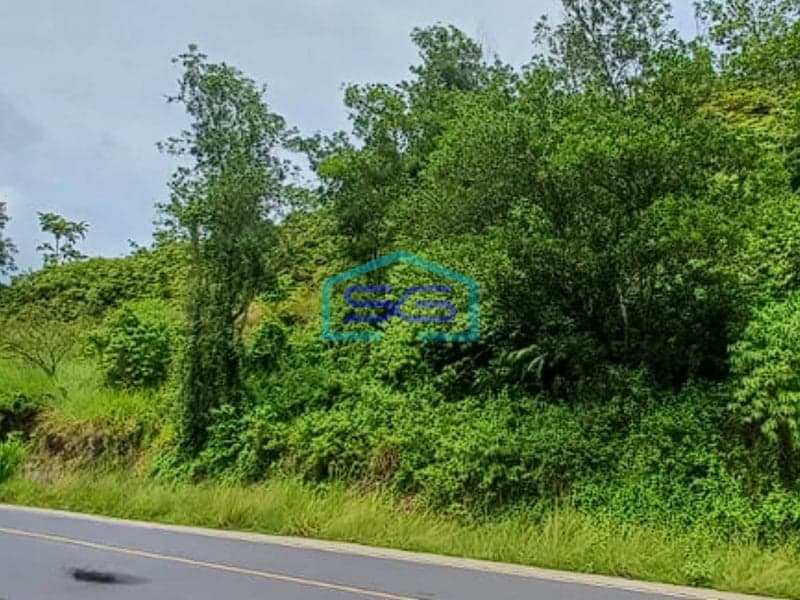 Dijual Tanah di Desa Kancing Bengkulu Tengah Luas Tanah 29.900m2