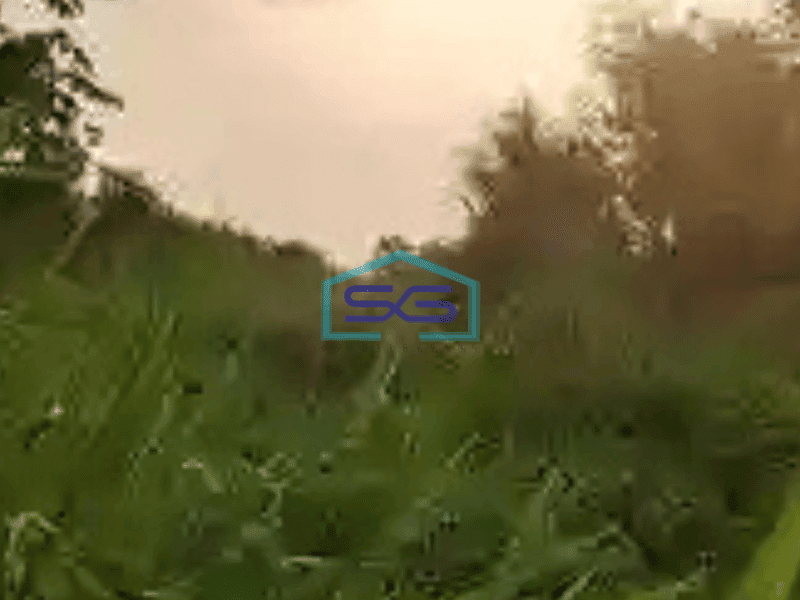 Dijual Tanah Lokasi Dekat Jalan Utama Di Gunung Sindur Bogor LT 1 Ha