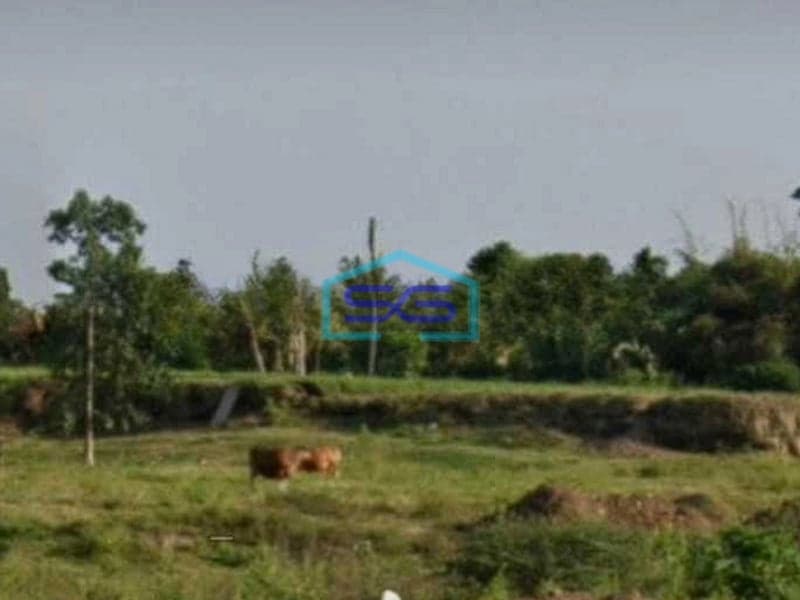 Dijual Tanah Manufaktur Industri Gudang By Pass Ketewel Bali Gianyar LT 23000m2