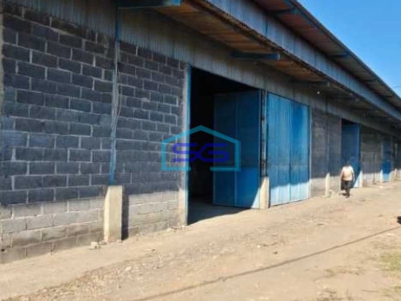 Disewakan Gudang Ngagel Surabaya Murah Luas Bangunan 180m2