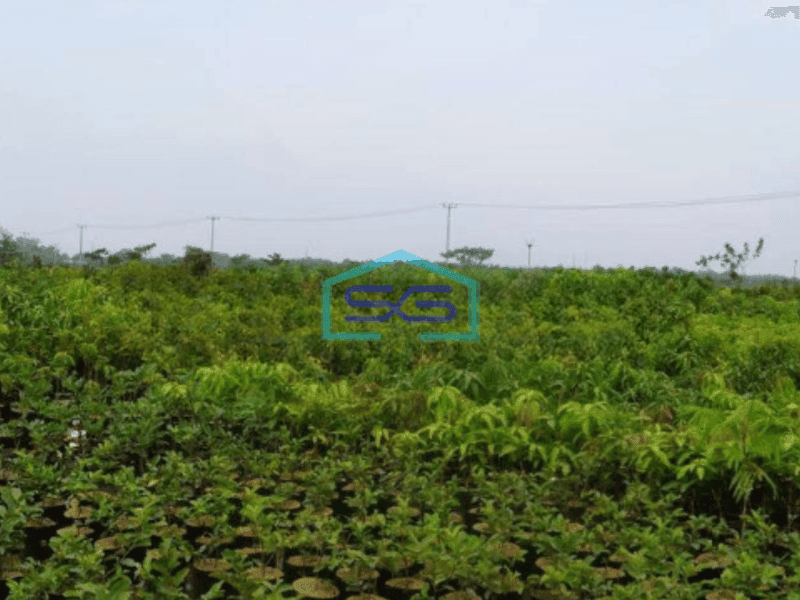 Dijual Tanah Luas Tanah 6000 m² di Karawang Timur