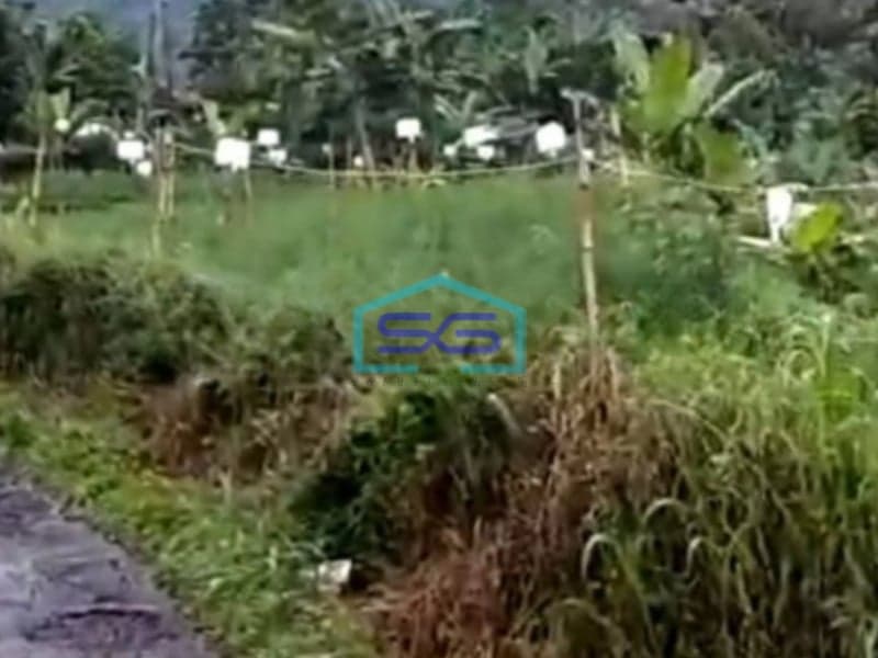 Dijual Tanah Desa Jogjogan Cidahu Kab Bogor Luas Tanah 47000m2