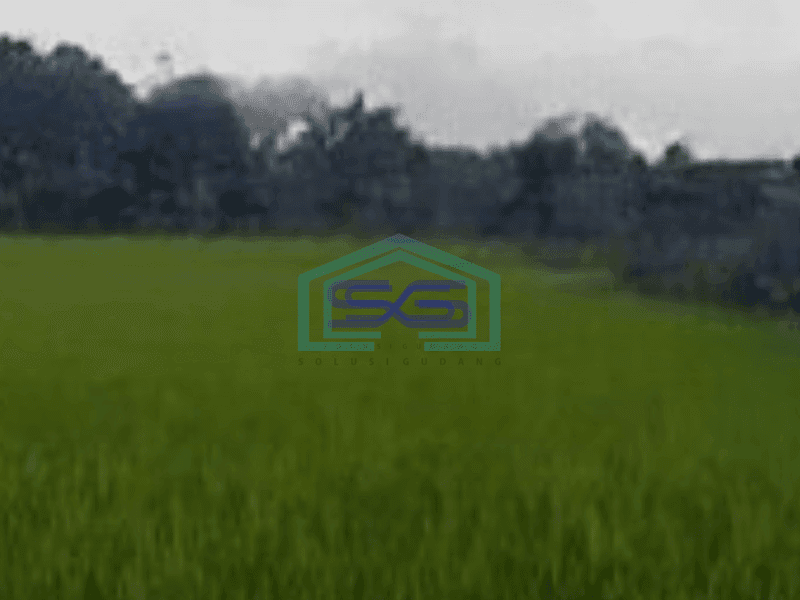 Dijual Kavling komersial Jl Raya Curug cocok untuk Gudang dan Parkir