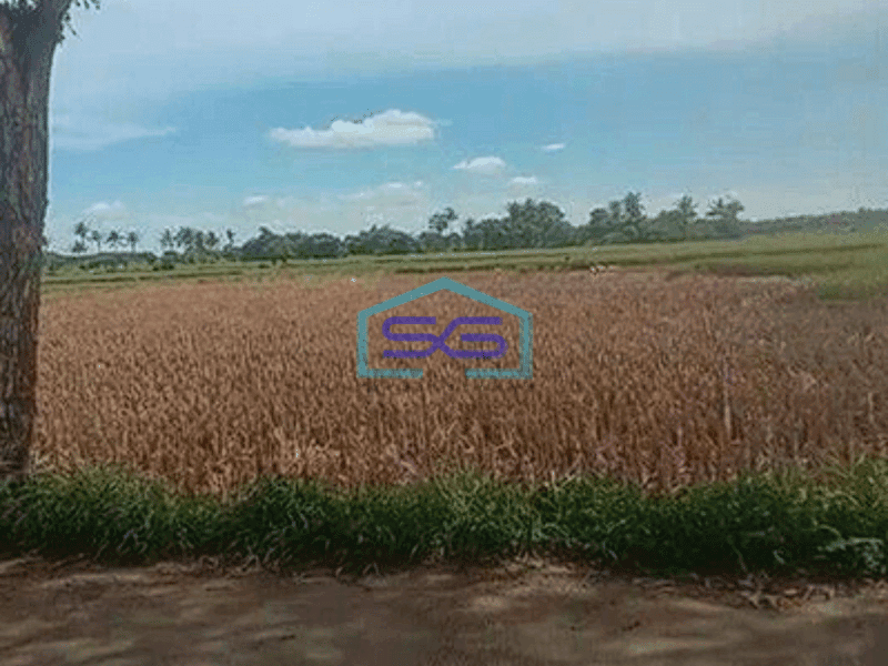 Dijual Tanah Lahan Kosong di Pasar Kemis Tangerang