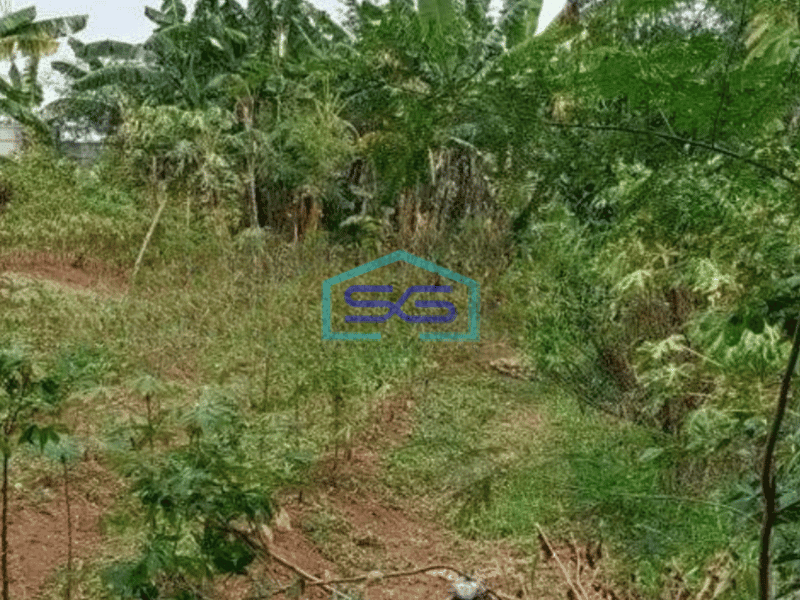 Disewakan Tanah Lokasi Strategis di Balaraja Tangerang Luas Tanah 20000 m²