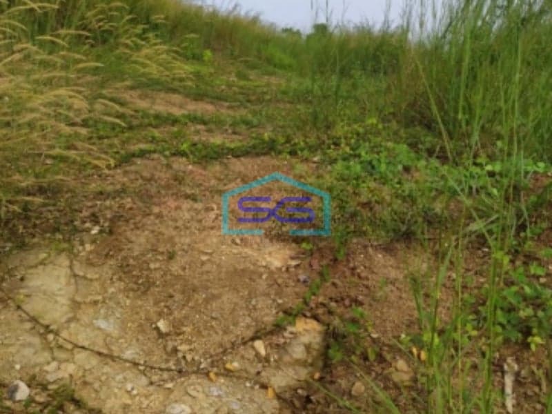 Dijual Tanah Kavling Luas 5891m2 di Jonggol Bogor Jawa Barat