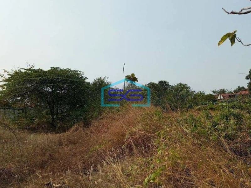 Dijual Cepat Tanah Nol Jalan Raya Driyorejo Gresik Cocok Gudang Dan Industri LT 8900m2