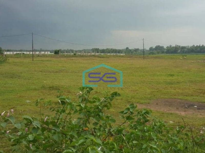 Dijual Tanah Luas 9 Hektar di Jawilan Pasir Limus Serang Lokasi Di Pinggir Jalan Raya