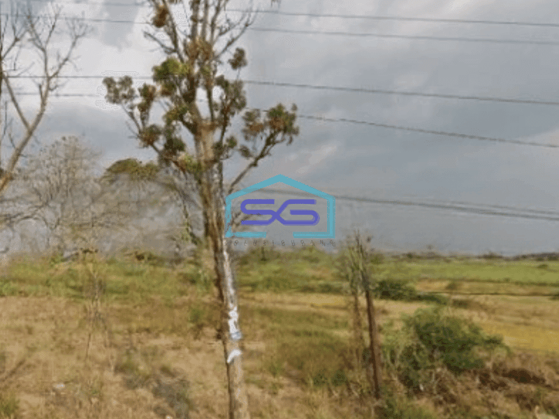 Dijual Tanah Luas 8800 Lokasi Jetis Mojokerto Jawa Timur