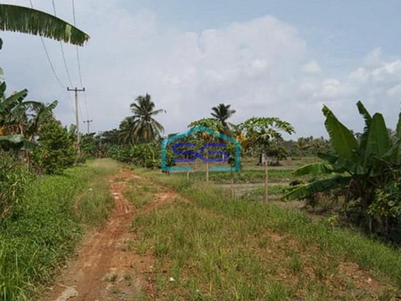 Dijual Tanah Strategis Luas 429.449m2 di Pinggir Jalan Sungai Musi Jalan Mata Merah Pusri Palembang