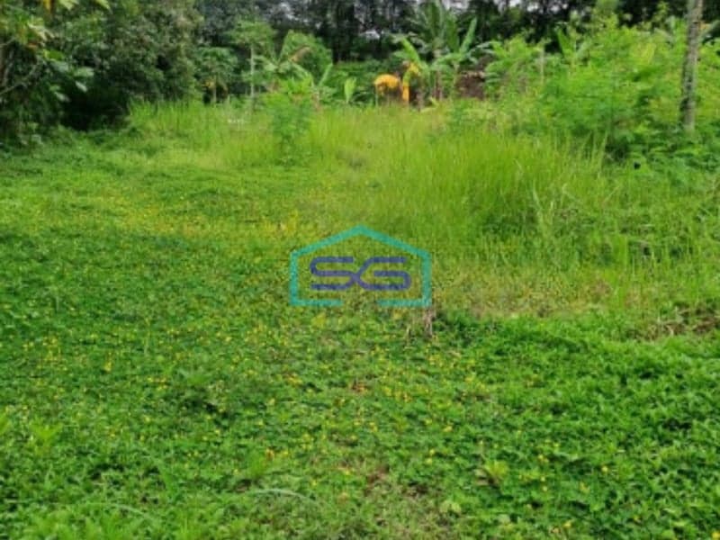 Dijual Tanah Di Ciseeng Bogor Luas Tanah 10000m2  Cocok Untuk Investasi