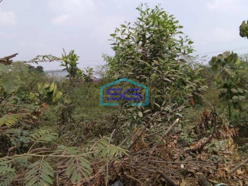 Dijual Tanah di Serang Balaraja Tangerang Dipinggir Jalan Raya LT 12000m2