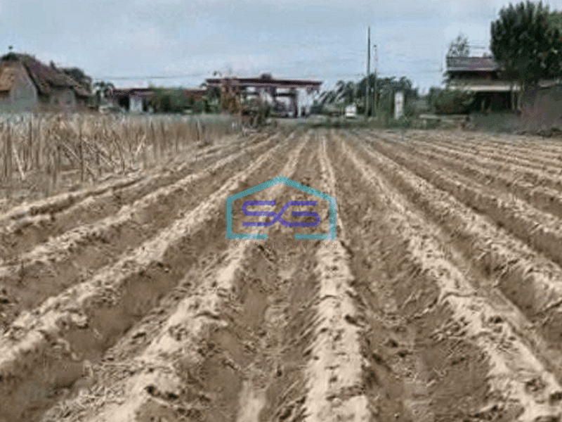 Dijual Tanah Murah Nol Jalan Provinsi Kota Kediri LT 12415m2