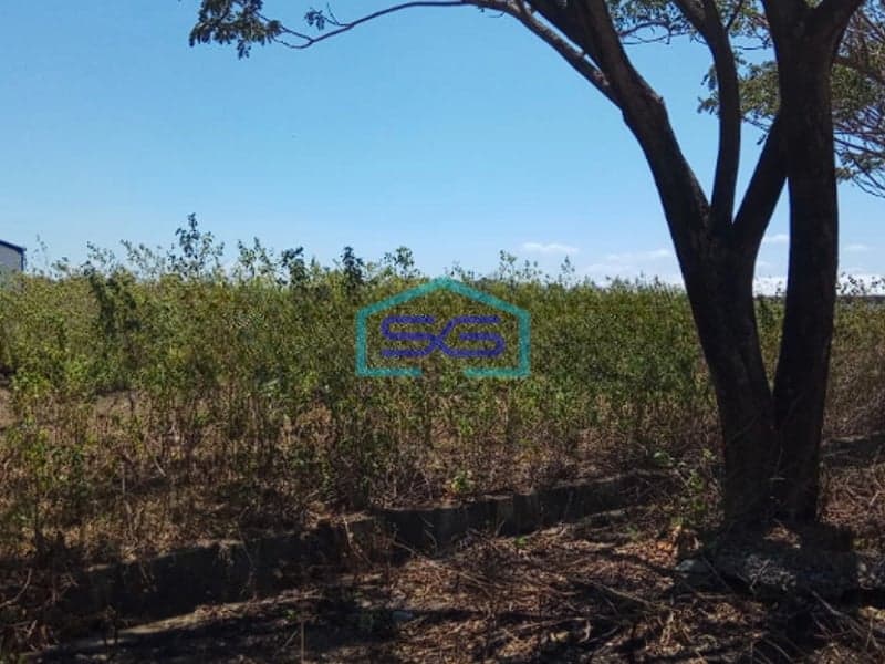 Dijual Tanah Industri 1 hectare di Pattene, SHM Makassar Siap Bangun