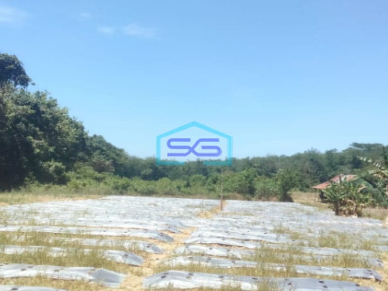 Dijual Tanah Luas di Talang Buluh Banyuasin Palembang Luas Tanah 22000m2