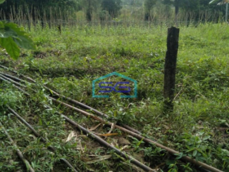 Dijual Tanah Kaplingan Tanjung Barangan Bukit Baru palembang LT 900m2