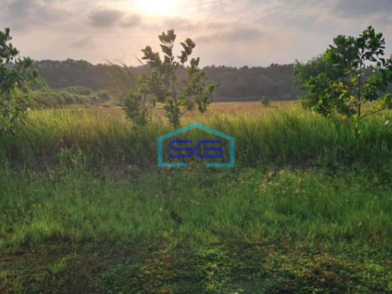 Dijual Tanah Kavling Industri Luas 1,7 Hektar di Daerah Karawang Barat