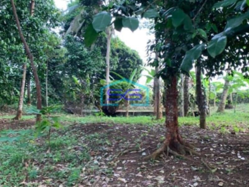 Dijual Cepat Tanah Siap Pakai Di Anyer Serang Banten Luas 1509m2