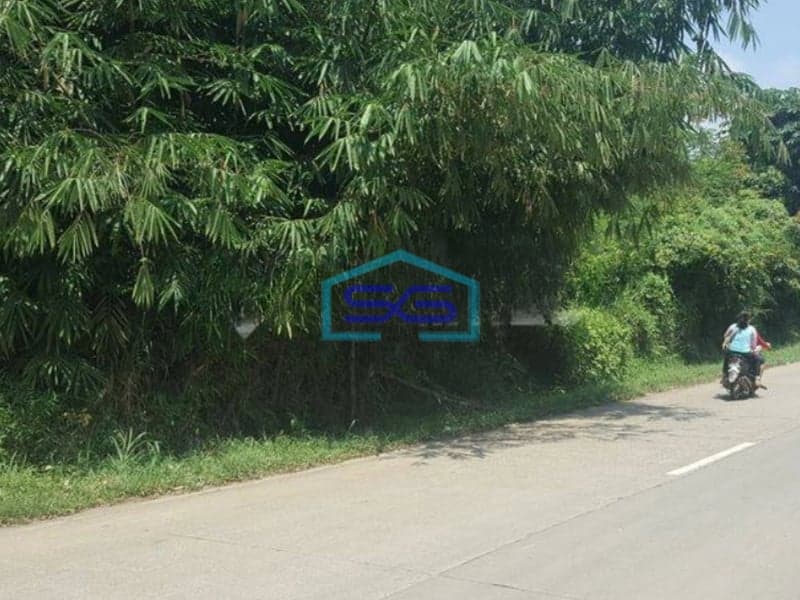 Dijual Tanah Di daerah Jasinga Bogor Letak Strategis Pinggir Jalan LT 14955m2