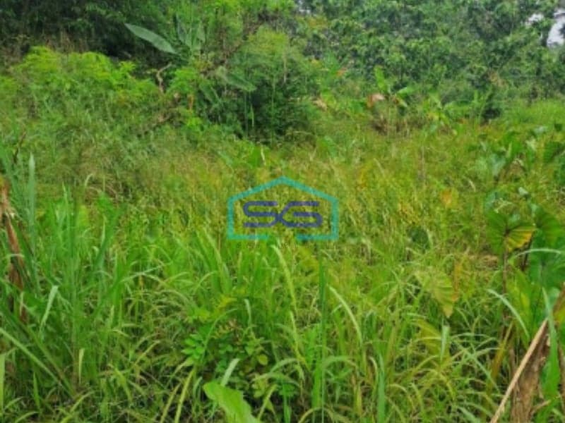 Dijual Tanah di Daerah Kemang Bogor Luas Tanah 3000m2