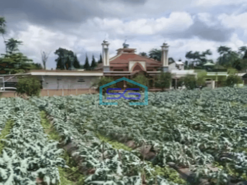 Dijual Tanah Kawasan Lembang Bandung Luas 8750m²