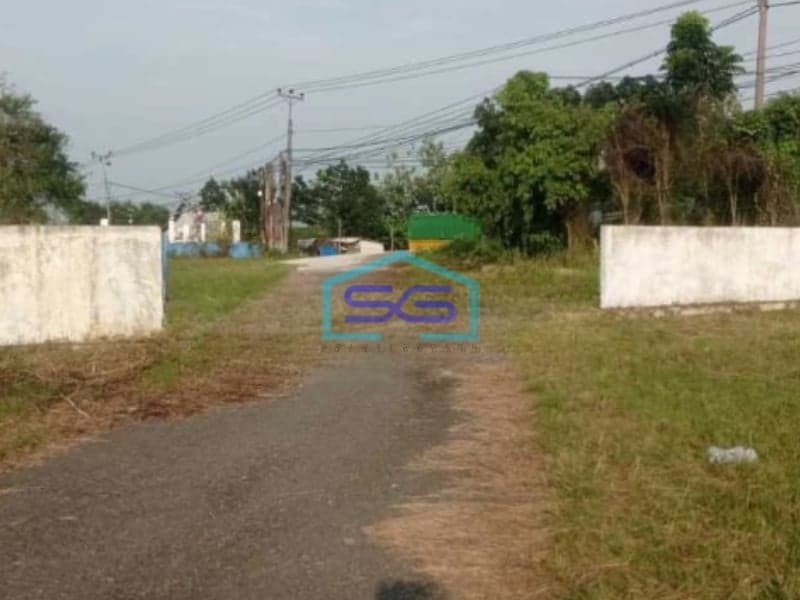 Dijual Pabrik Pengolahan Ikan Di Cepiring Gondang Kendal