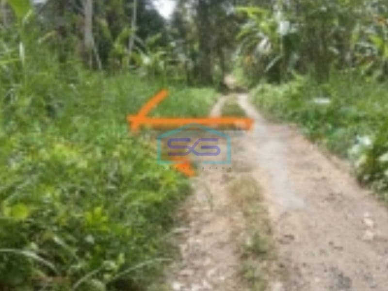 Tanah Murah Dijual di Tampaksiring Gianyar Bali 10.500 m2