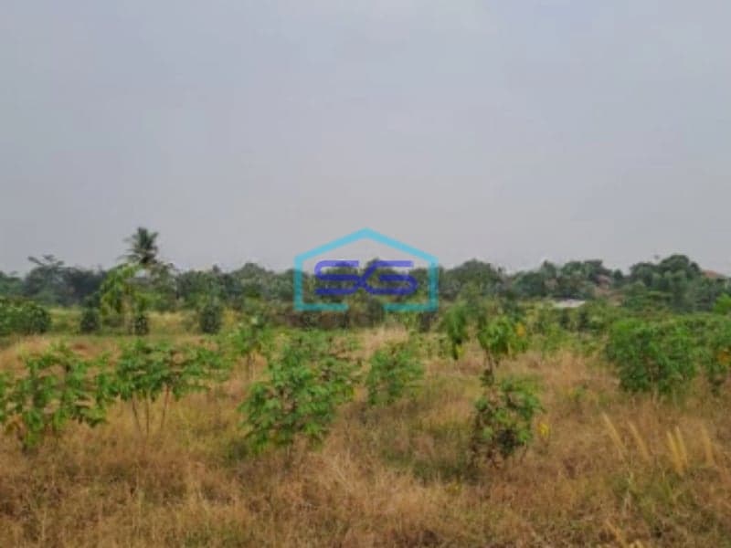 Dijual Tanah Kontur Datar Kemang Pabuaran Bogor Luas Tanah 30000m2